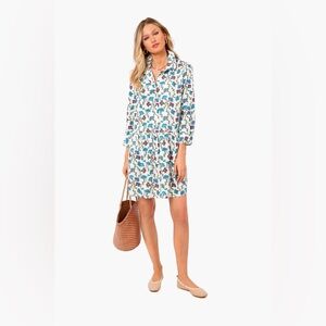 Tuckernuck Blue and White Floral Dress